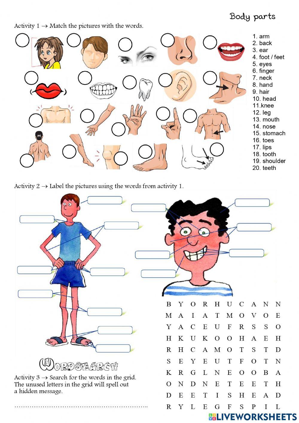 Human matching. Упражнения по английскому части тела. Задания по английскому части тела. Parts of the body упражнения. Тема body Parts Worksheet.