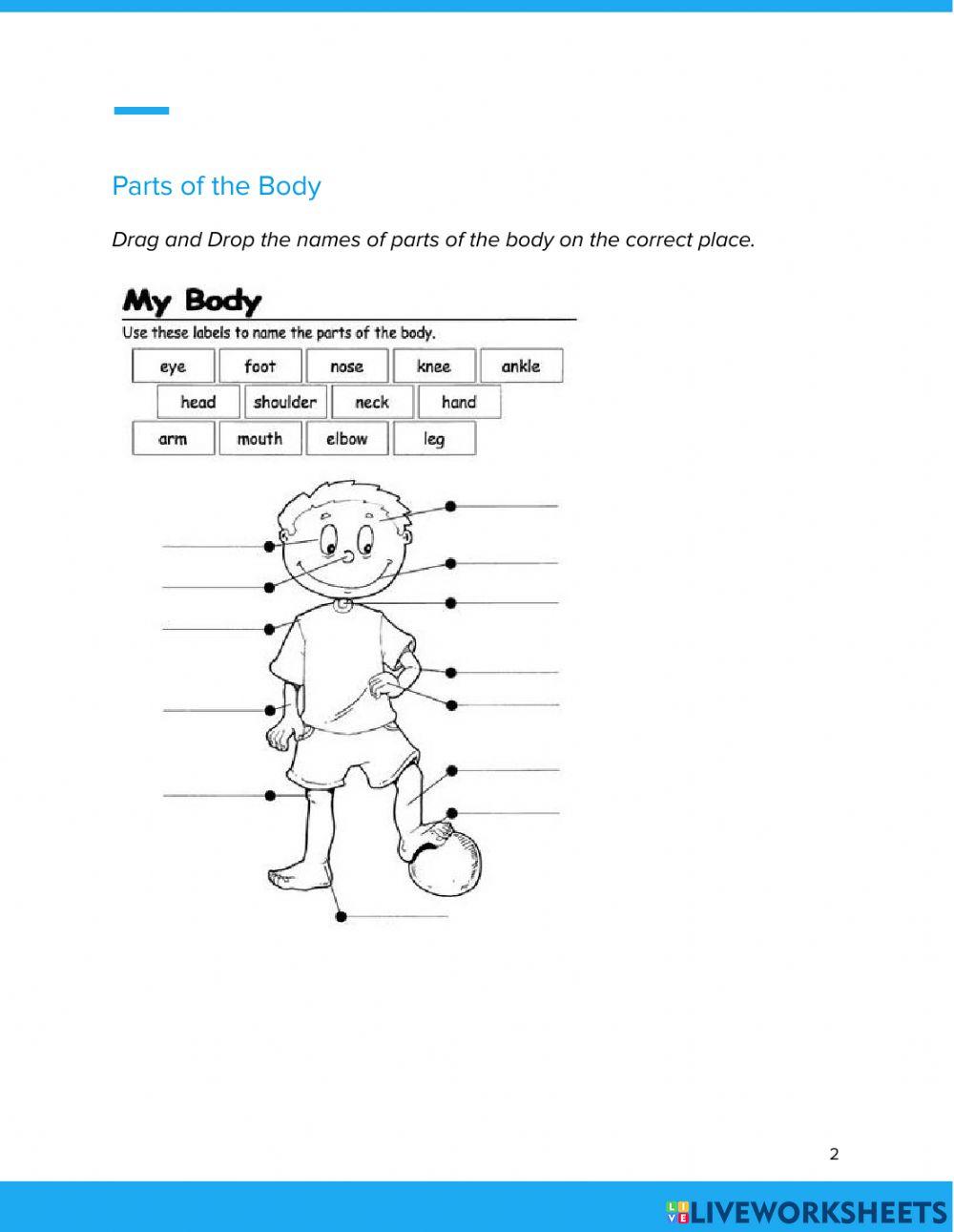 Descriptive Text - Describing People