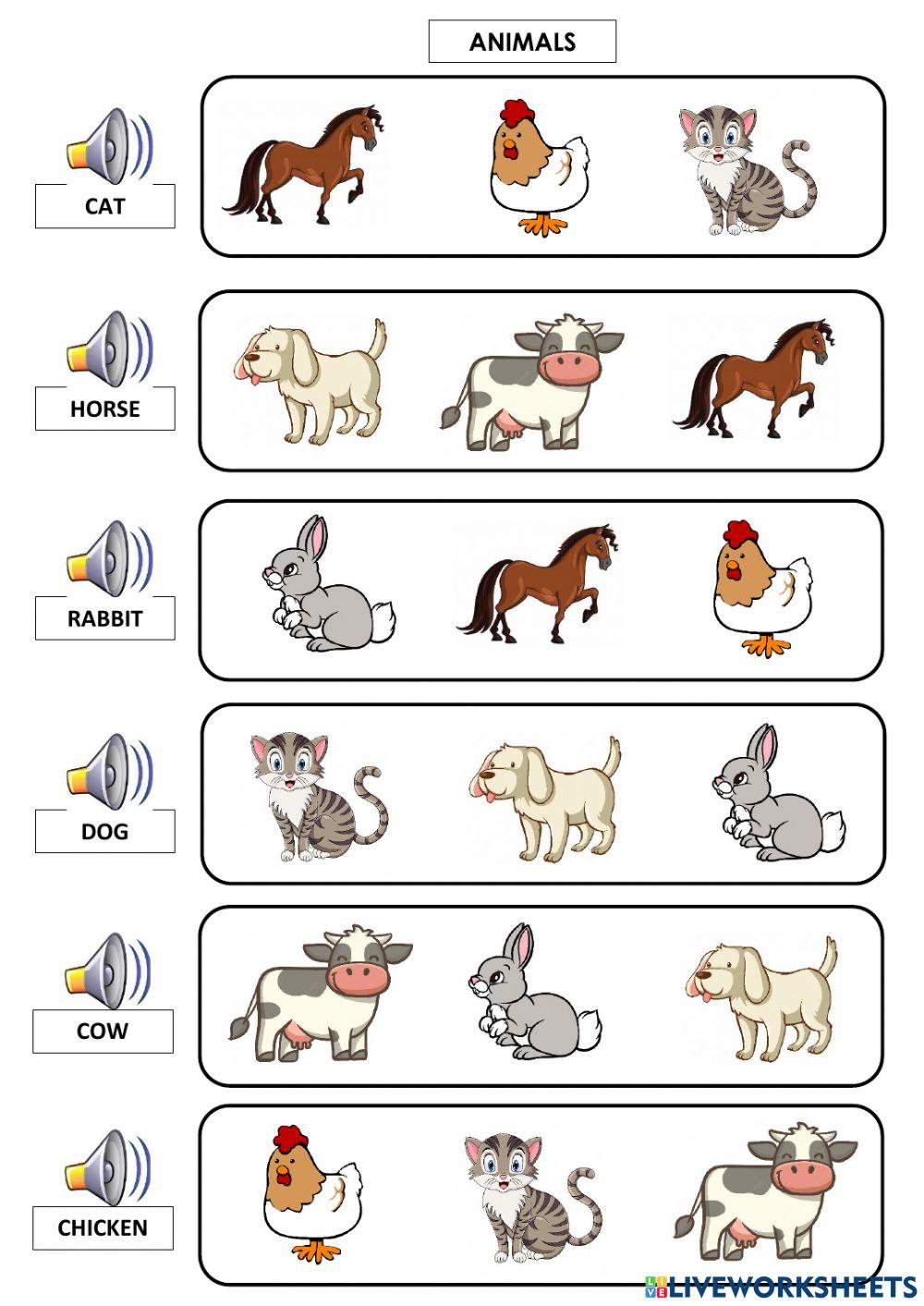 Animals, Clothes, Body Parts