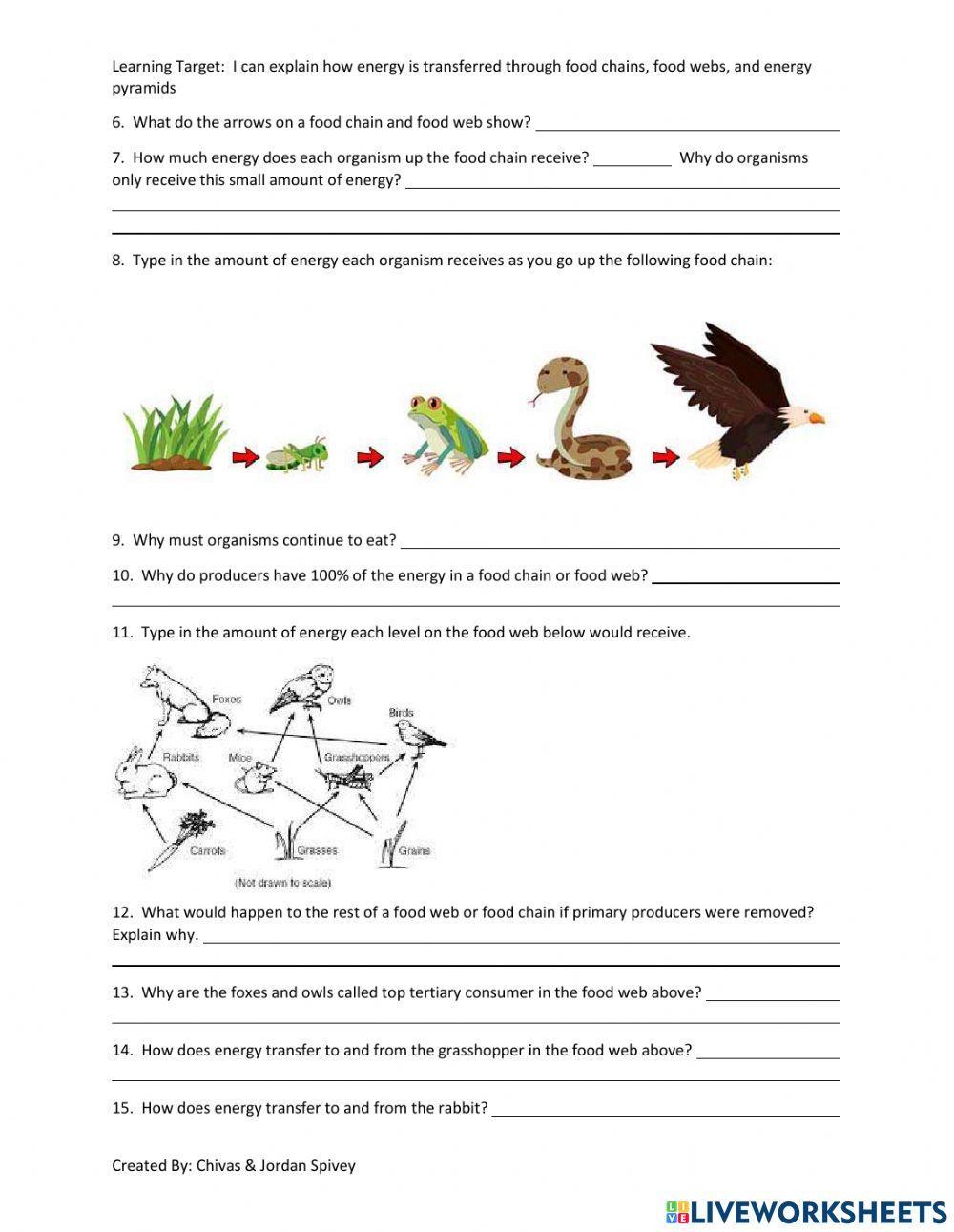 Food chains, Food webs, & Energy pyramids video notes with quiz