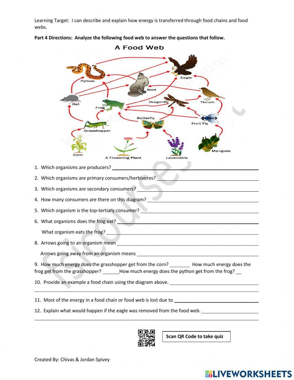 Food Chains - Food Webs Interactive Activity