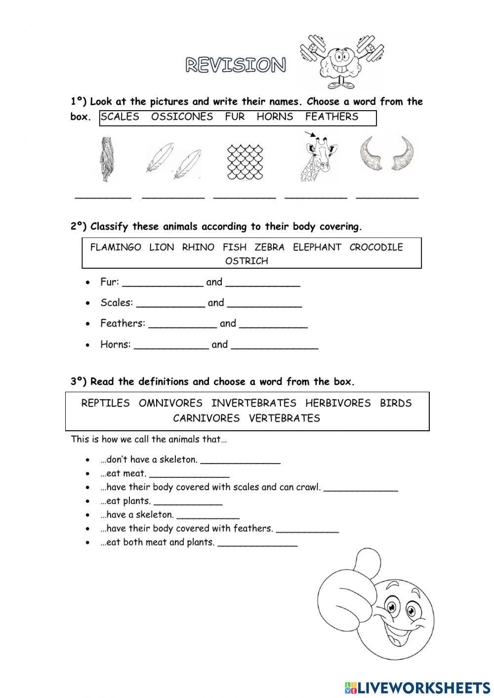 Revsion about animals