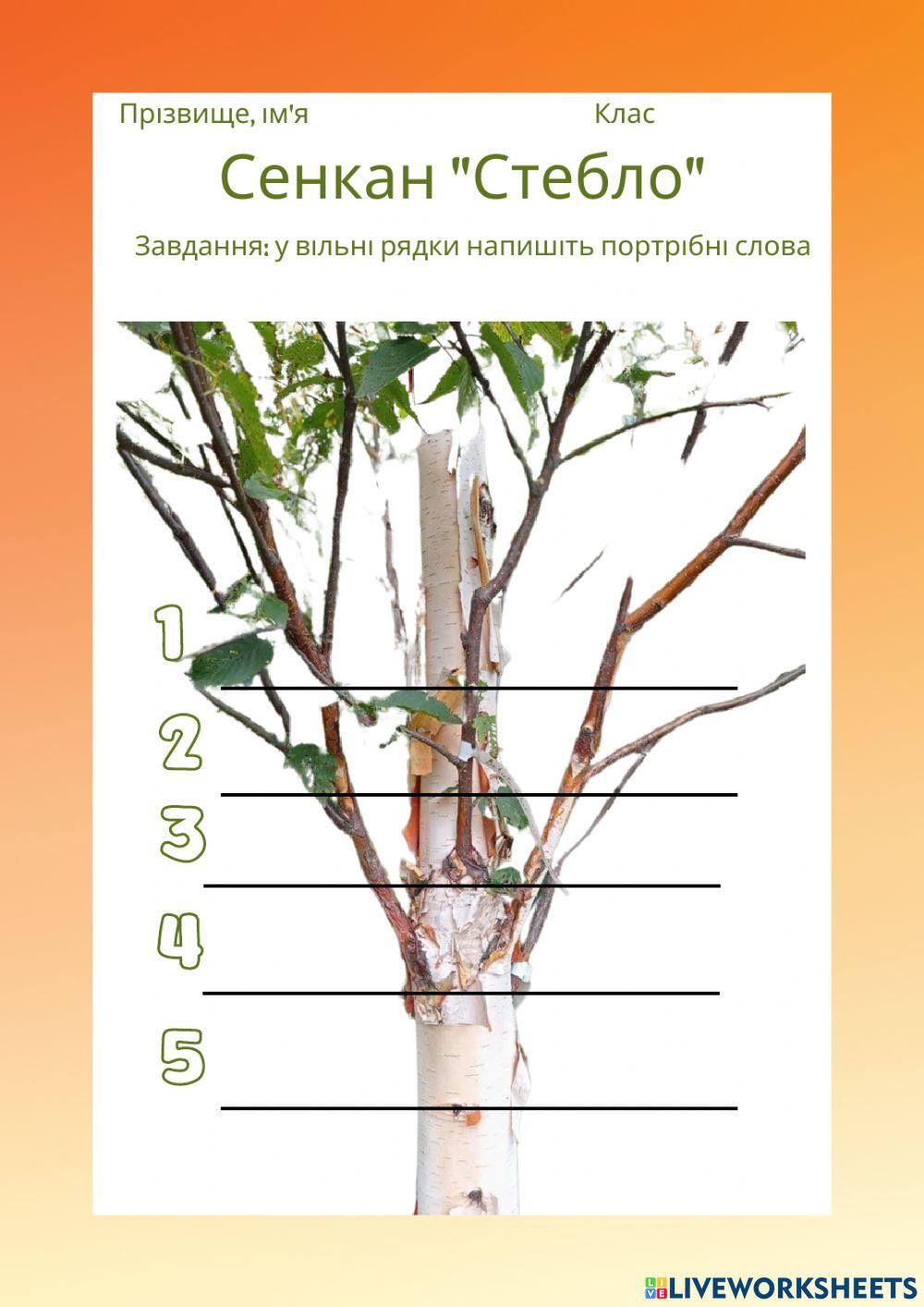 Сенкан -Стебло-