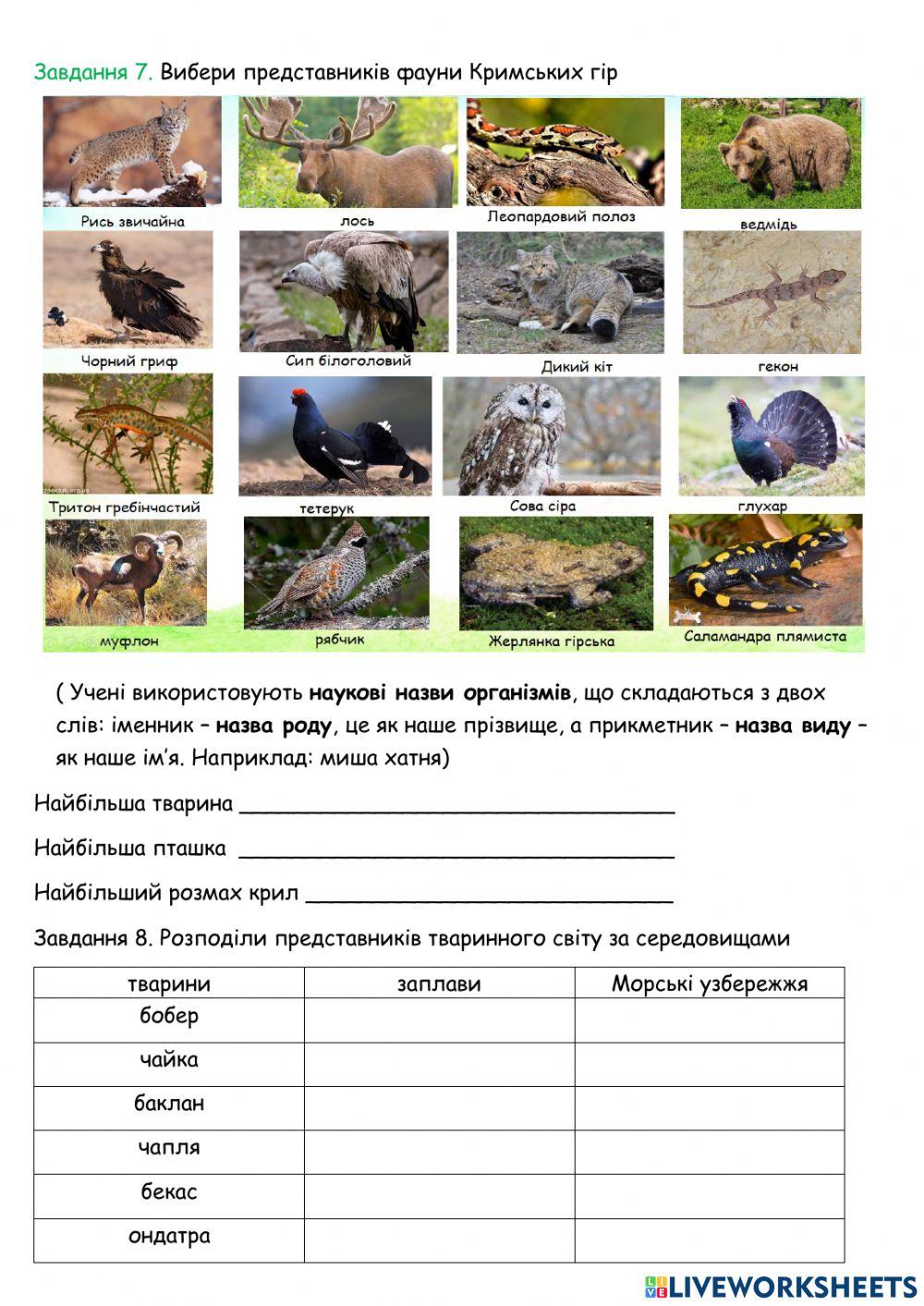 Тваринний світ України