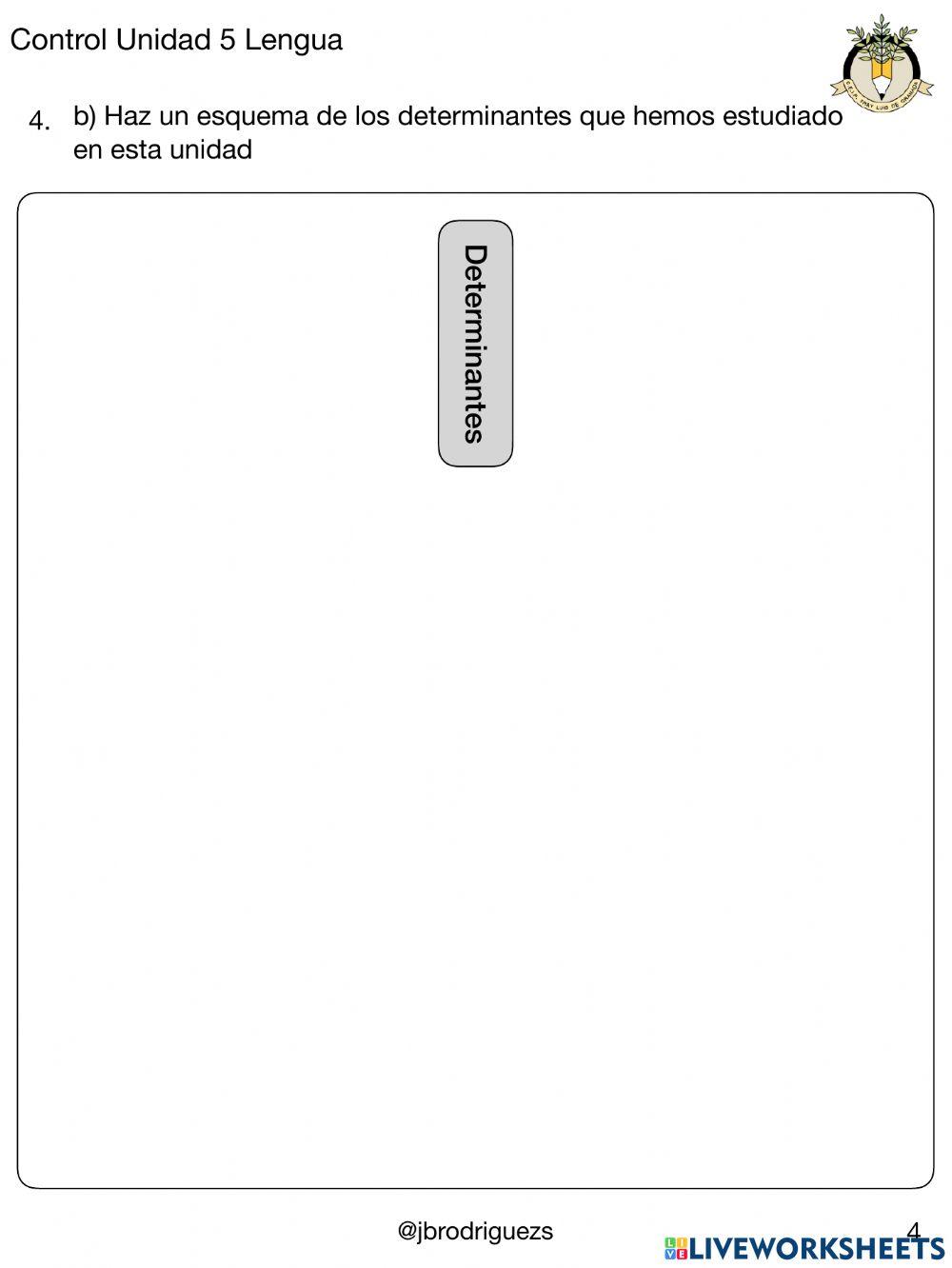 Contro U.5 lengua 5º