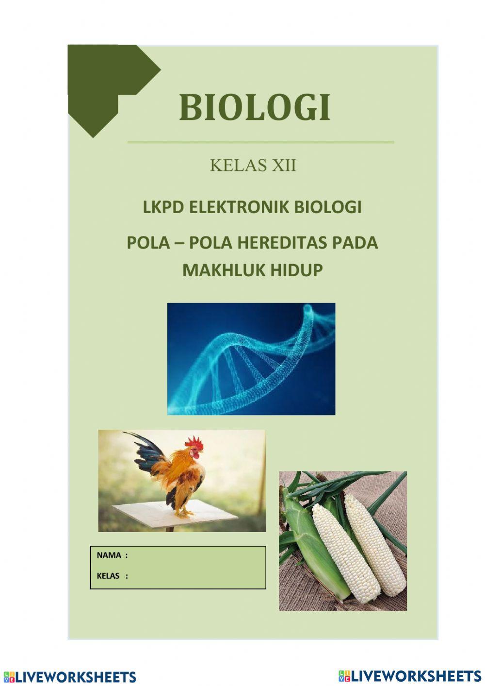 Lkpd pola-pola hereditas
