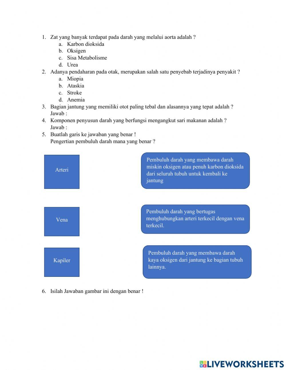 Soal Pembuluh Darah Pada Manusia