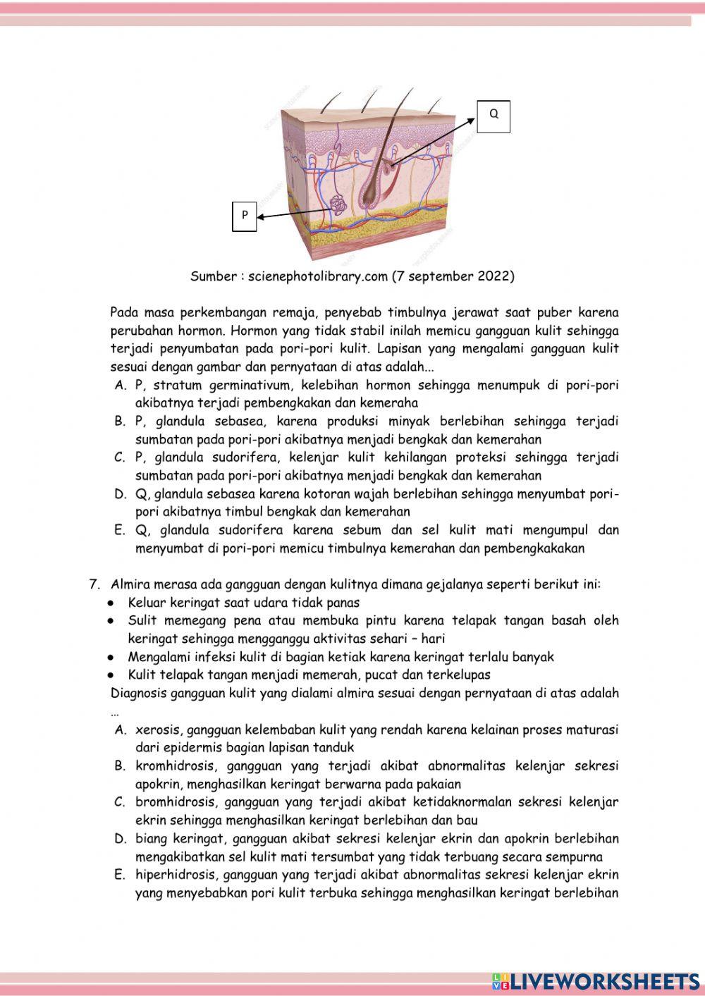 Postes Pertemuan 2