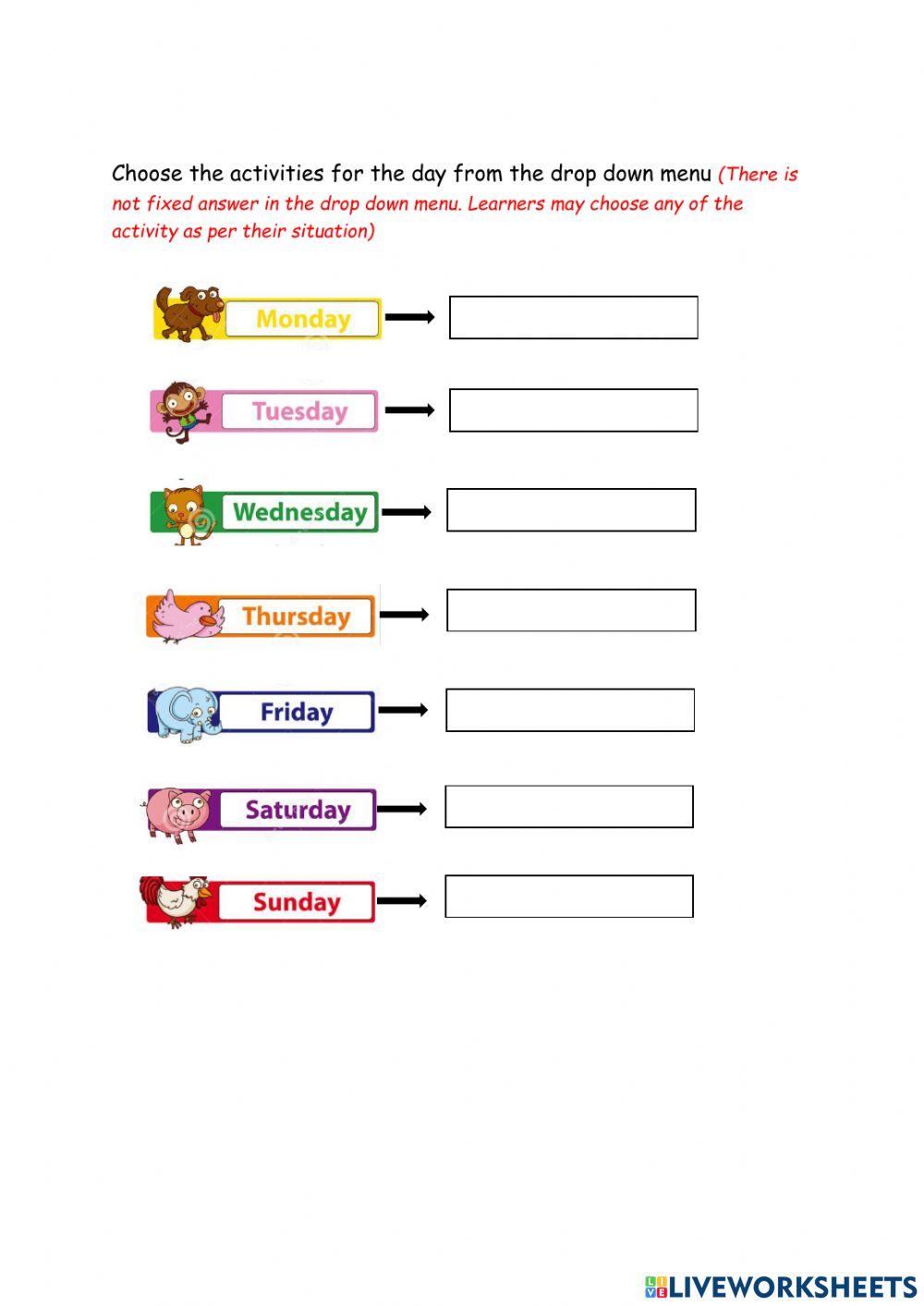 Lesson 5 C, Worksheet 4