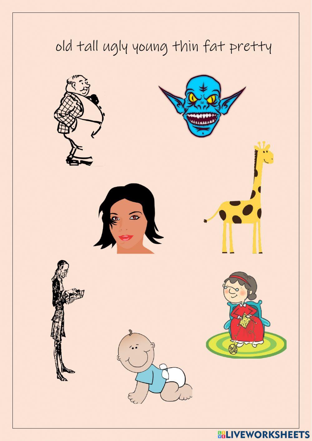 Adjectives for describing people