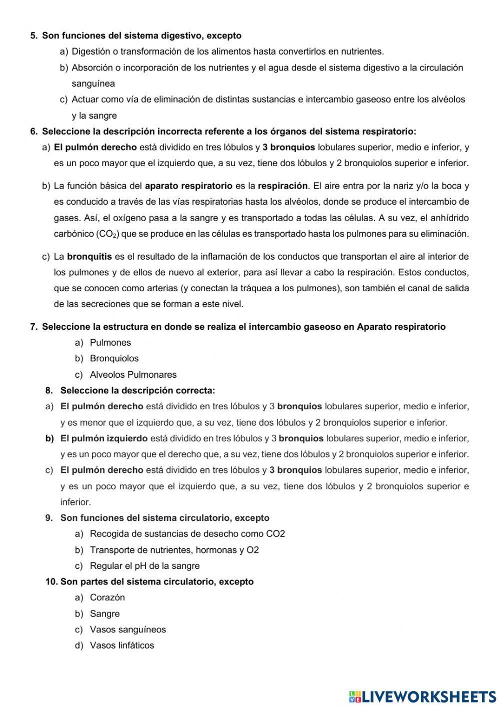 Recuperación Ciclo celular y Morfología