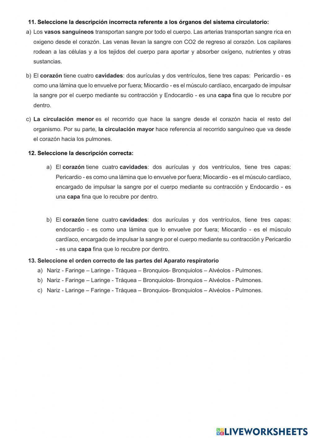 Recuperación Ciclo celular y Morfología