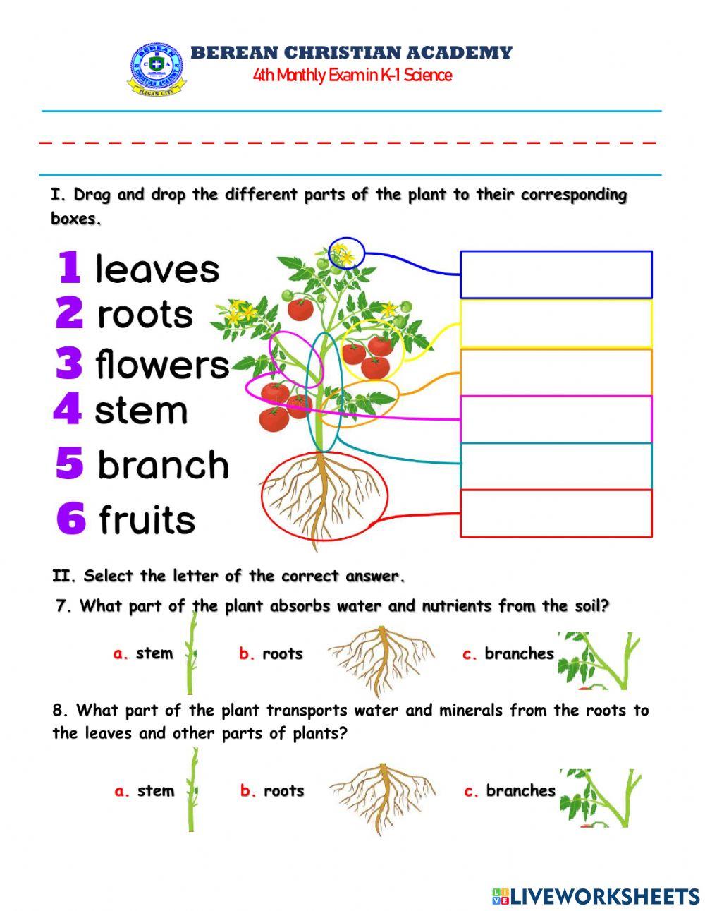 BCA 4TH M. Exam Science