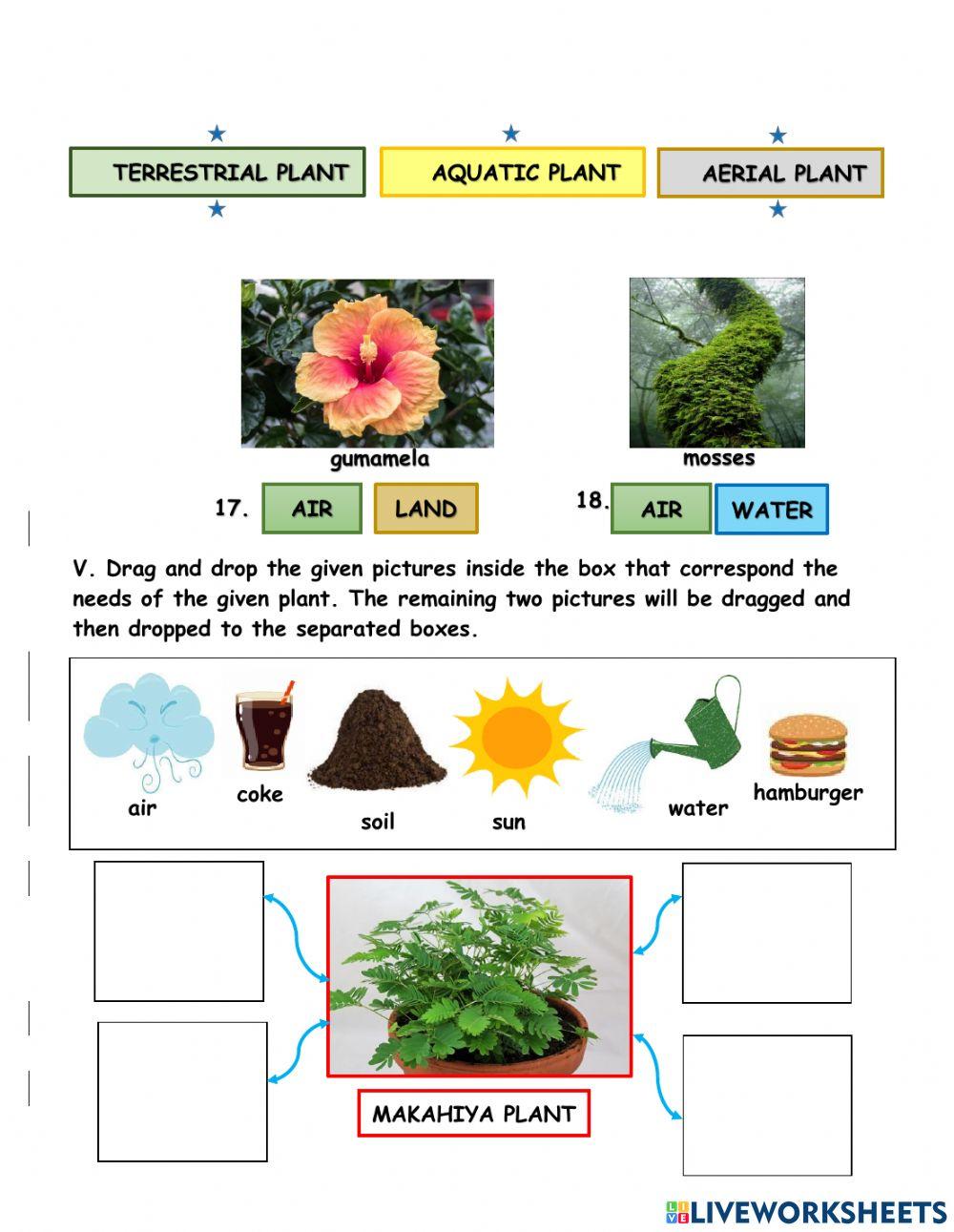 BCA 4TH M. Exam Science