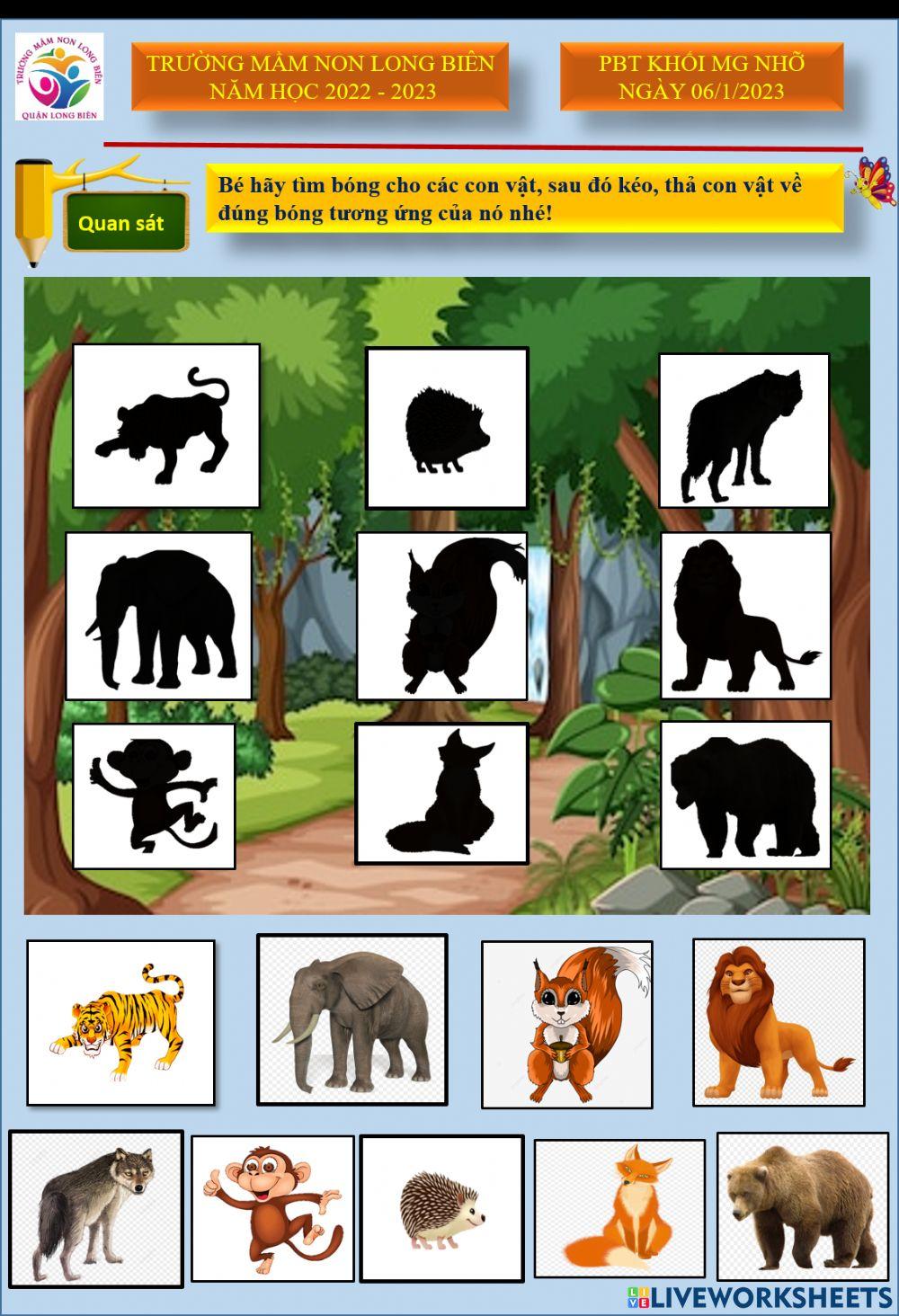 Phiếu BTTT Khối MGN ngày 06-1-2023