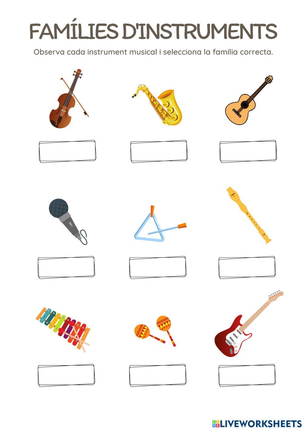 FAMÍLIES D'INSTRUMENTS 1