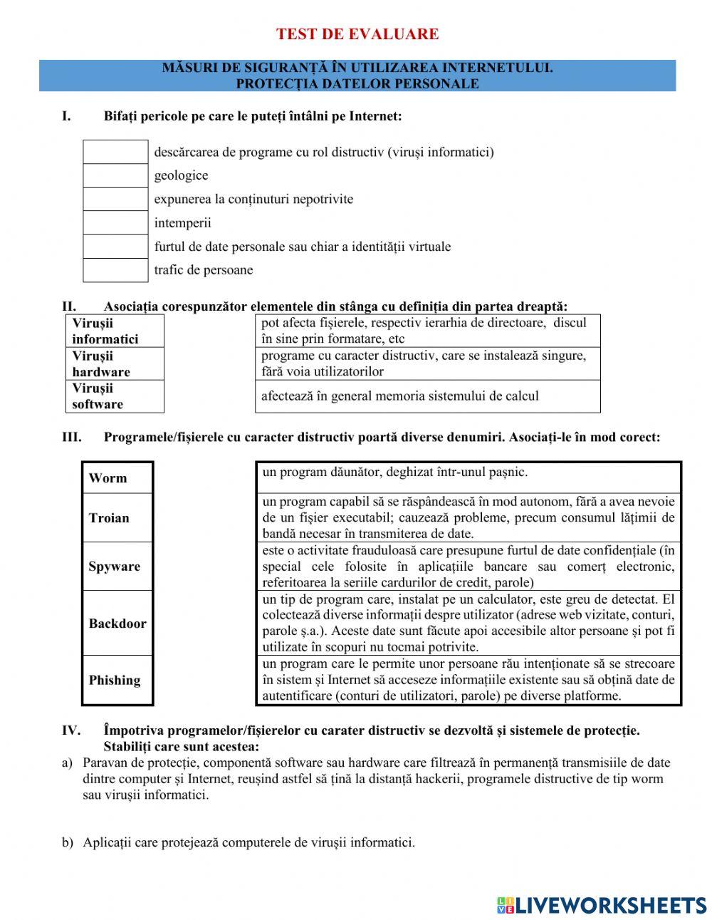 Test de evaluare - Internet