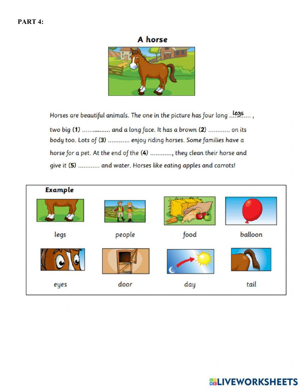 Starters-Practice 12