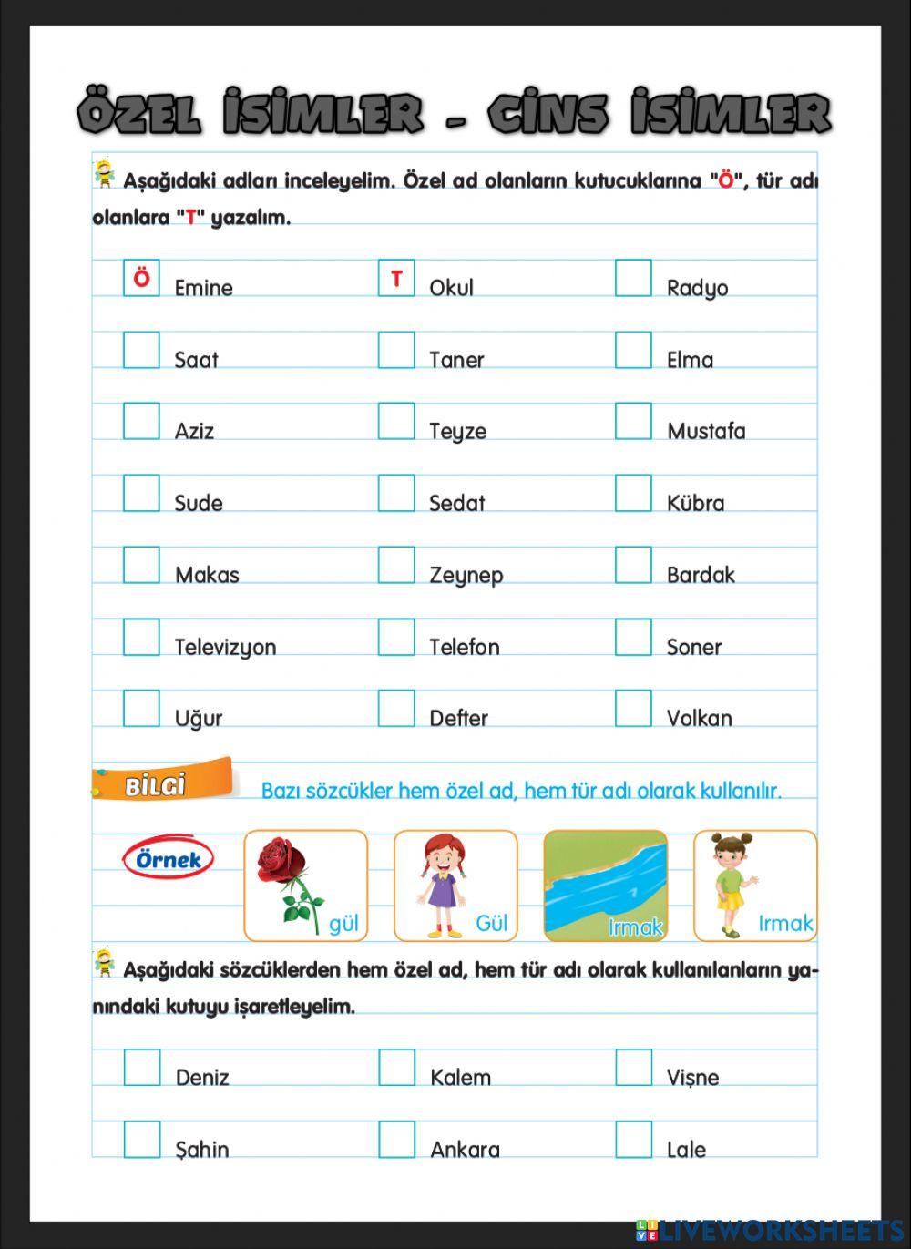 Özel Adlar-Tür Adları