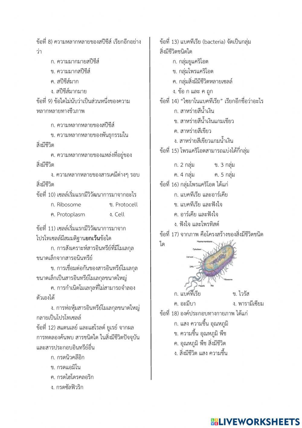 วิชา ชีววิทยาเพิ่มเติม 2 ม.6