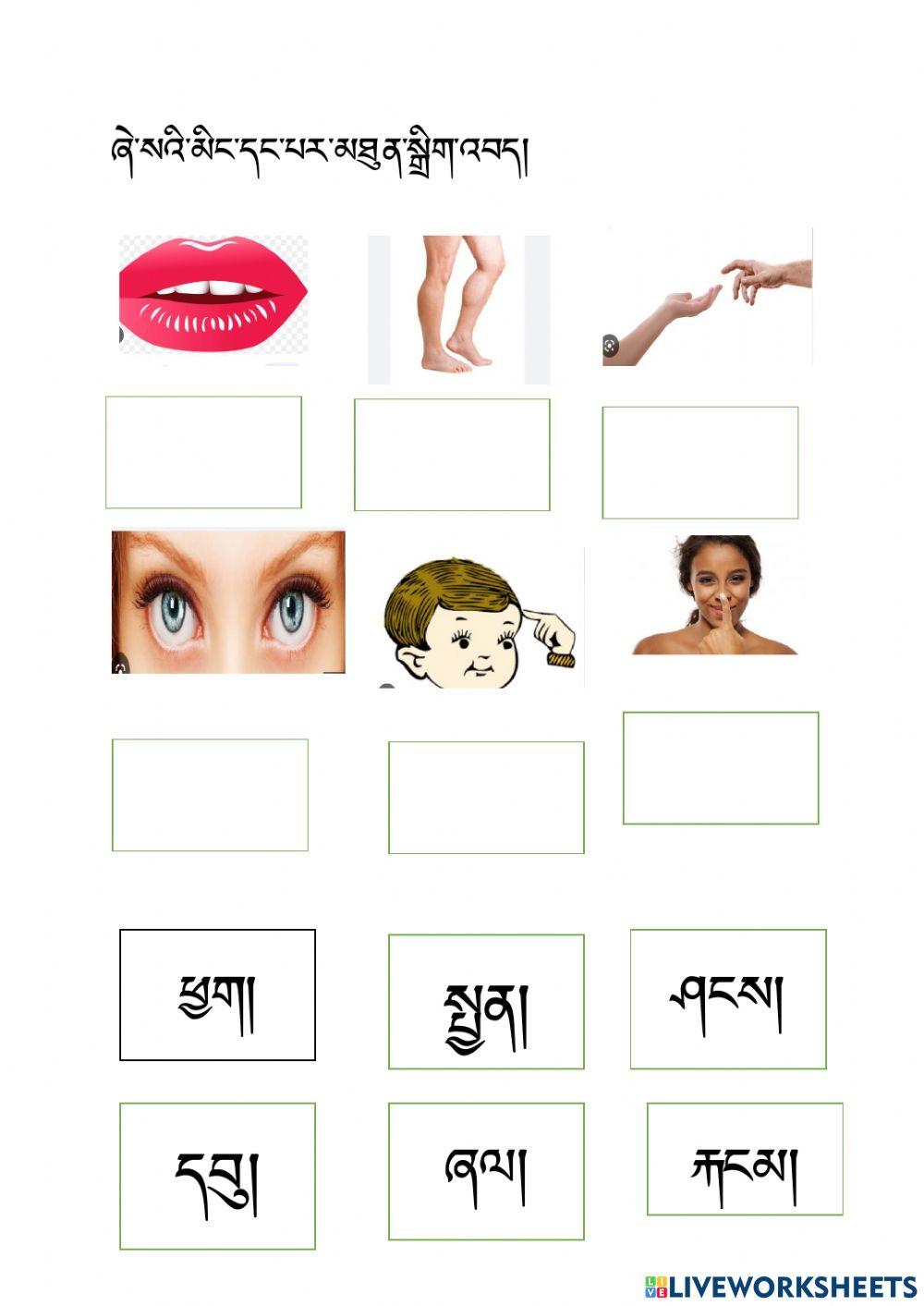 Dzongkha Phelkey and zheysa