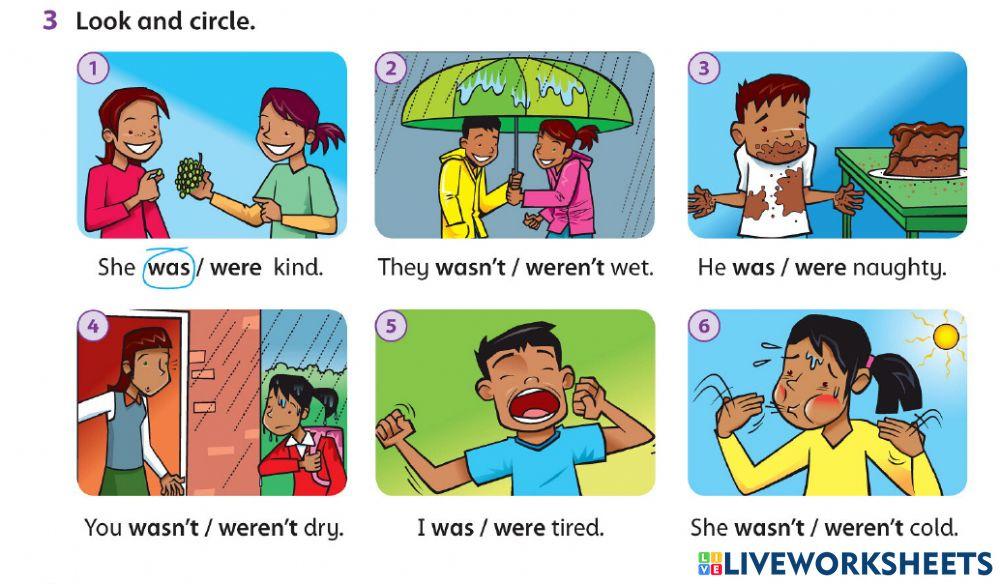 Subject Verb Agreement