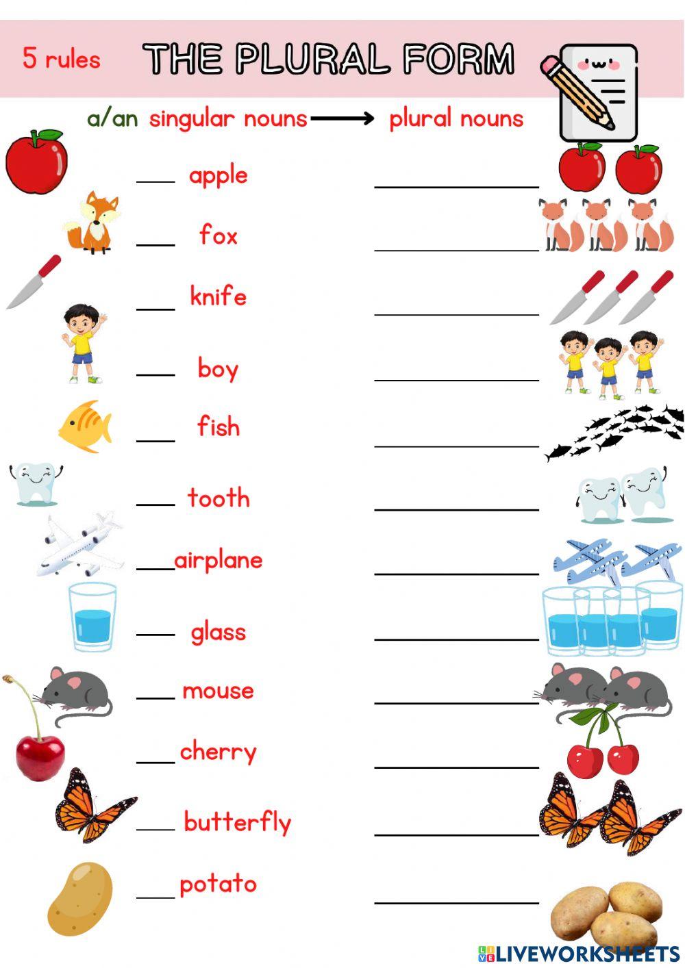 5 rules Singular & Plural Nouns