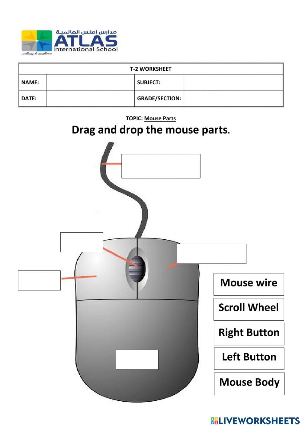 Computer Science - Week 6 worksheet online exercise for | Live Worksheets