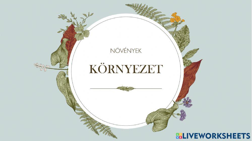 Környezet-NÖVÉNYEK