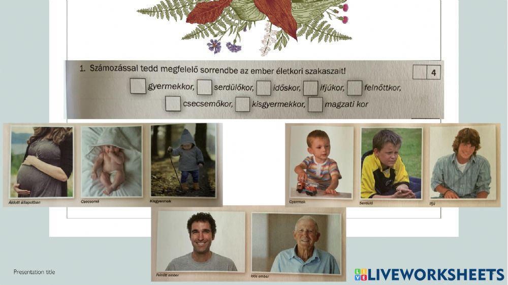 Környezet-TESTÜNK,EGÉSZSÉGÜNK