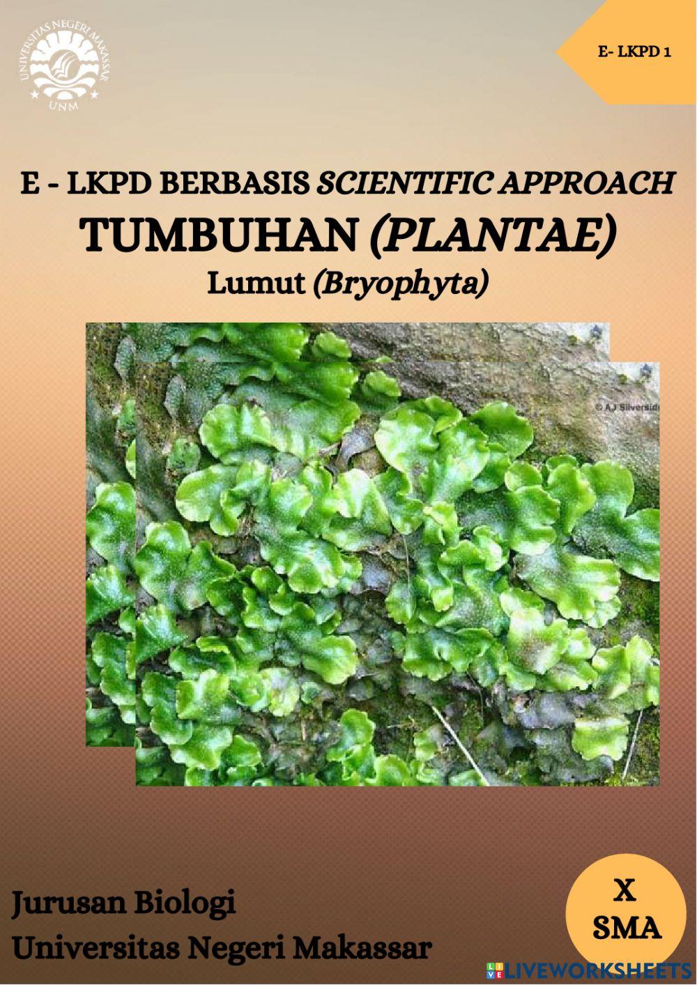 Lkpd elekttronik tumbuhan lumut
