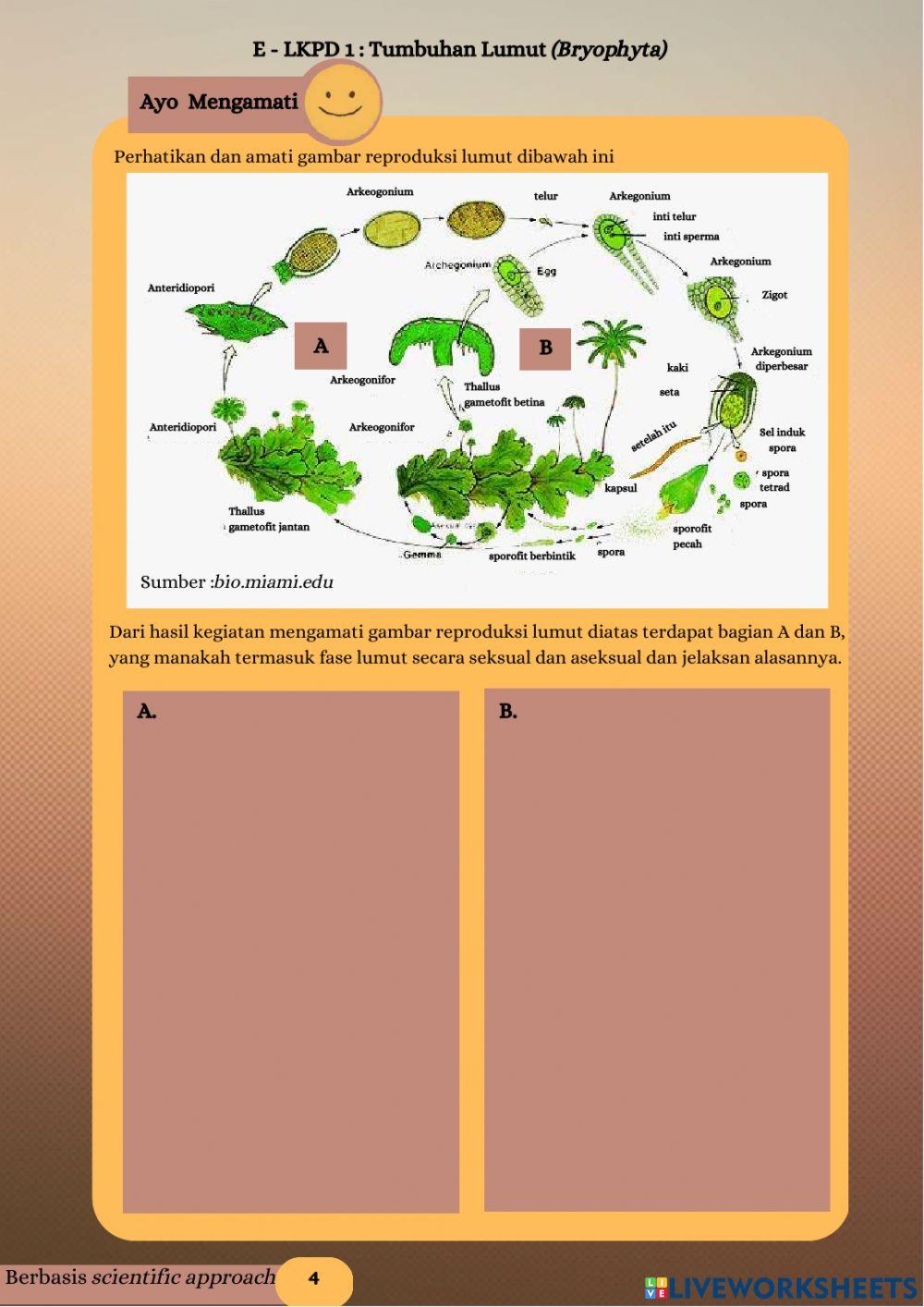 Lkpd elekttronik tumbuhan lumut