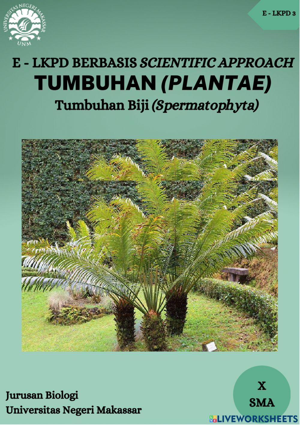 E - lkpd tumbuhan biji