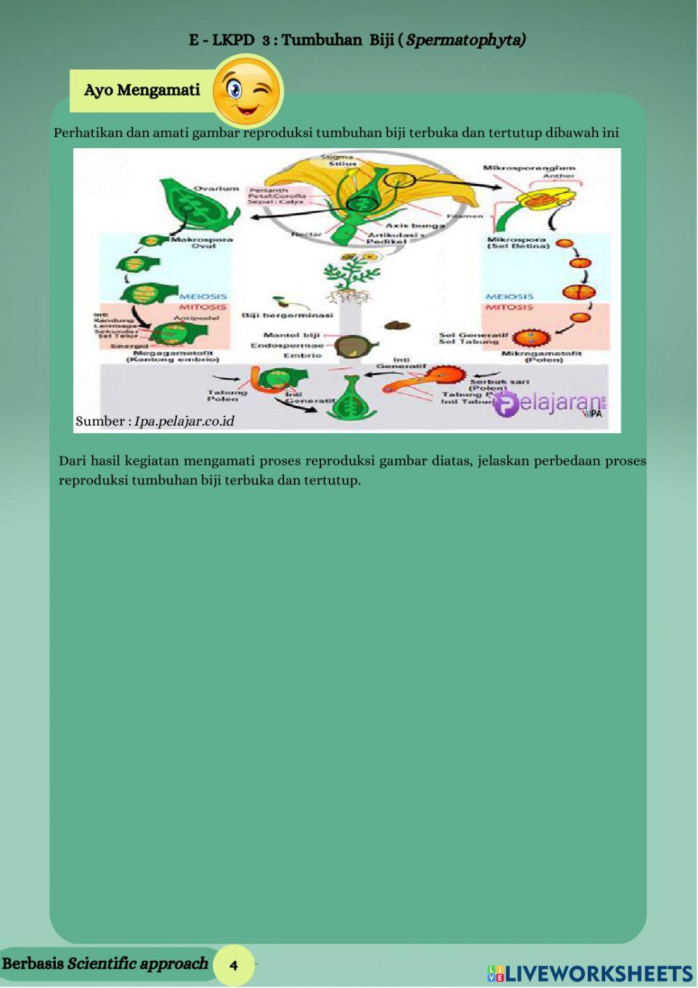 E - lkpd tumbuhan biji