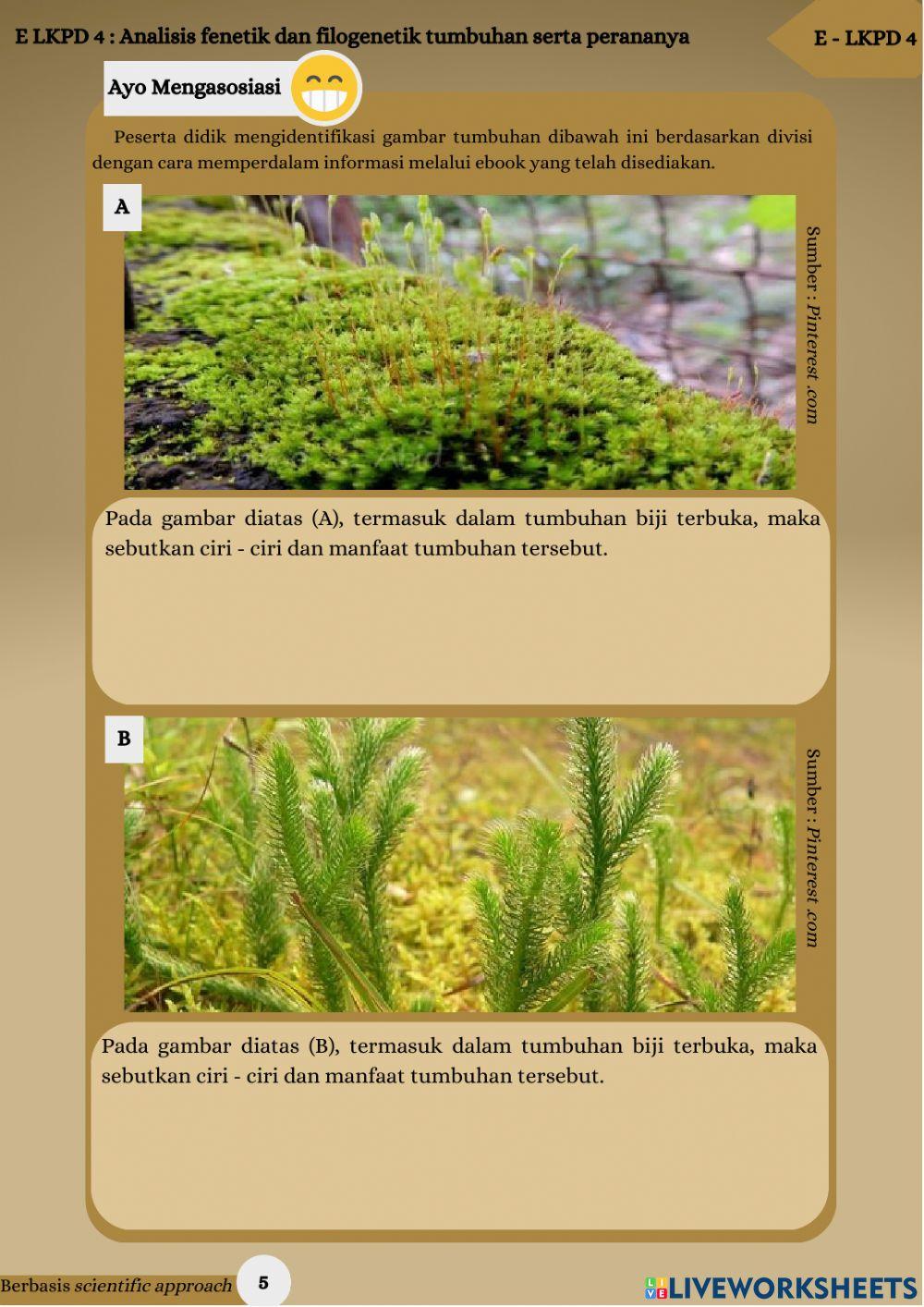 E - lkpd analisis fenetik dan filogenetik tumbuhan