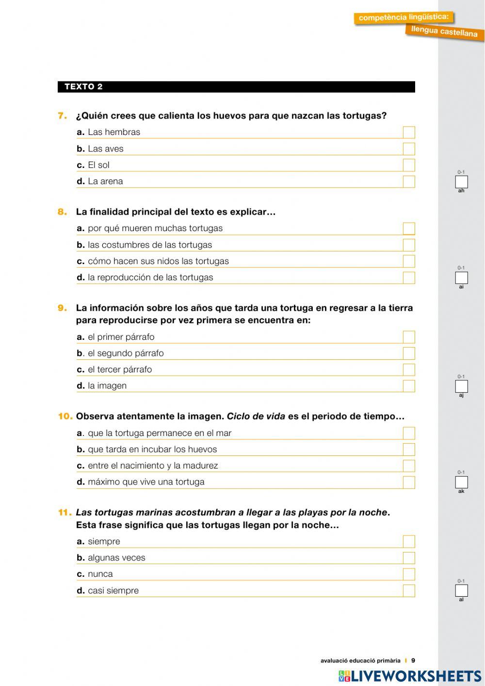 Prueba de comprensión 19-01