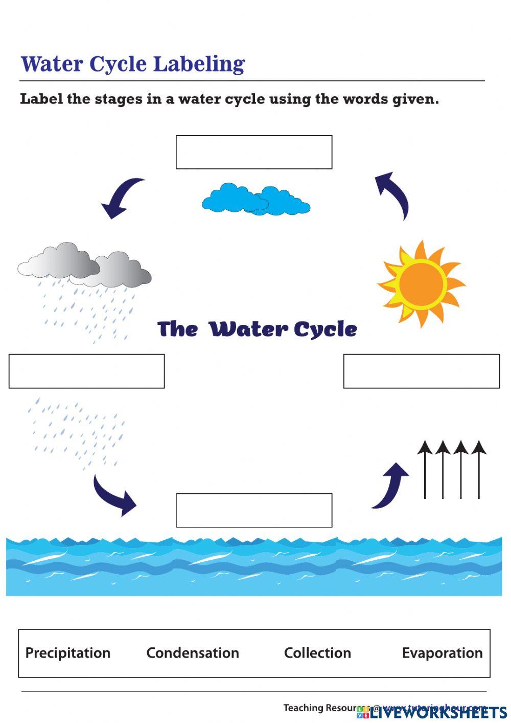 Water Online Exercise For Grade I Live Worksheets water-online-exercise-for-grade-i-live-worksheets