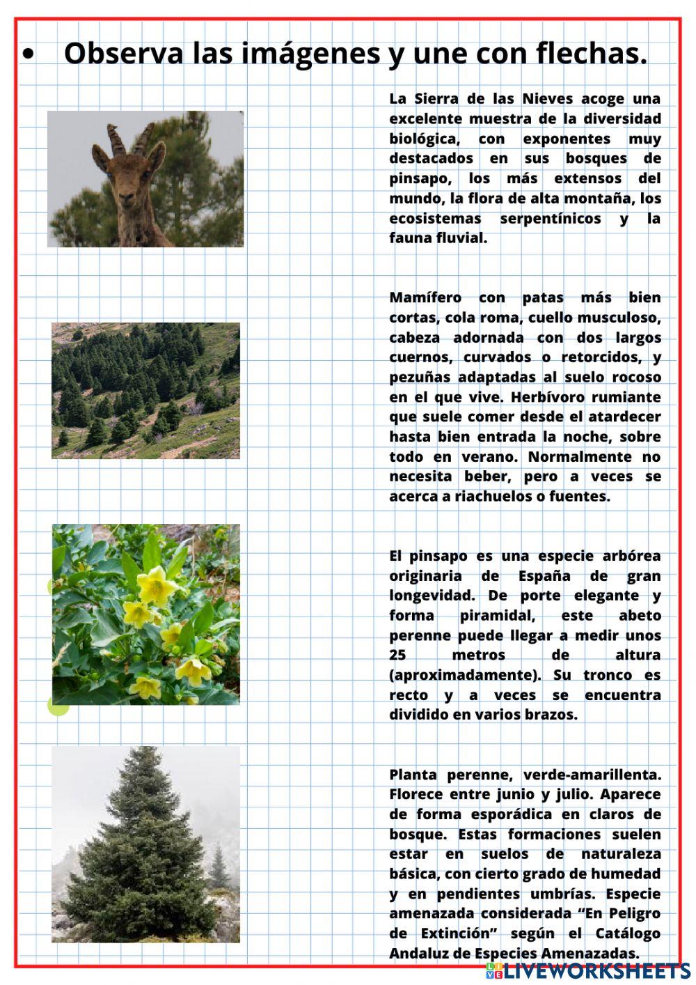 Sierra de las Nieves