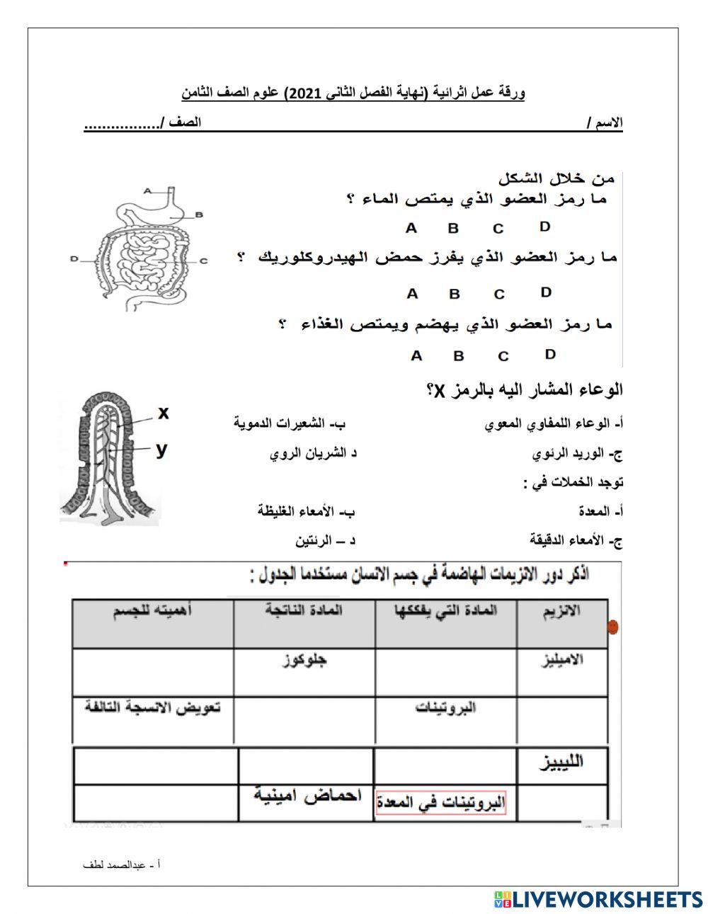 الهضم - الامتصاص - الانزيمات