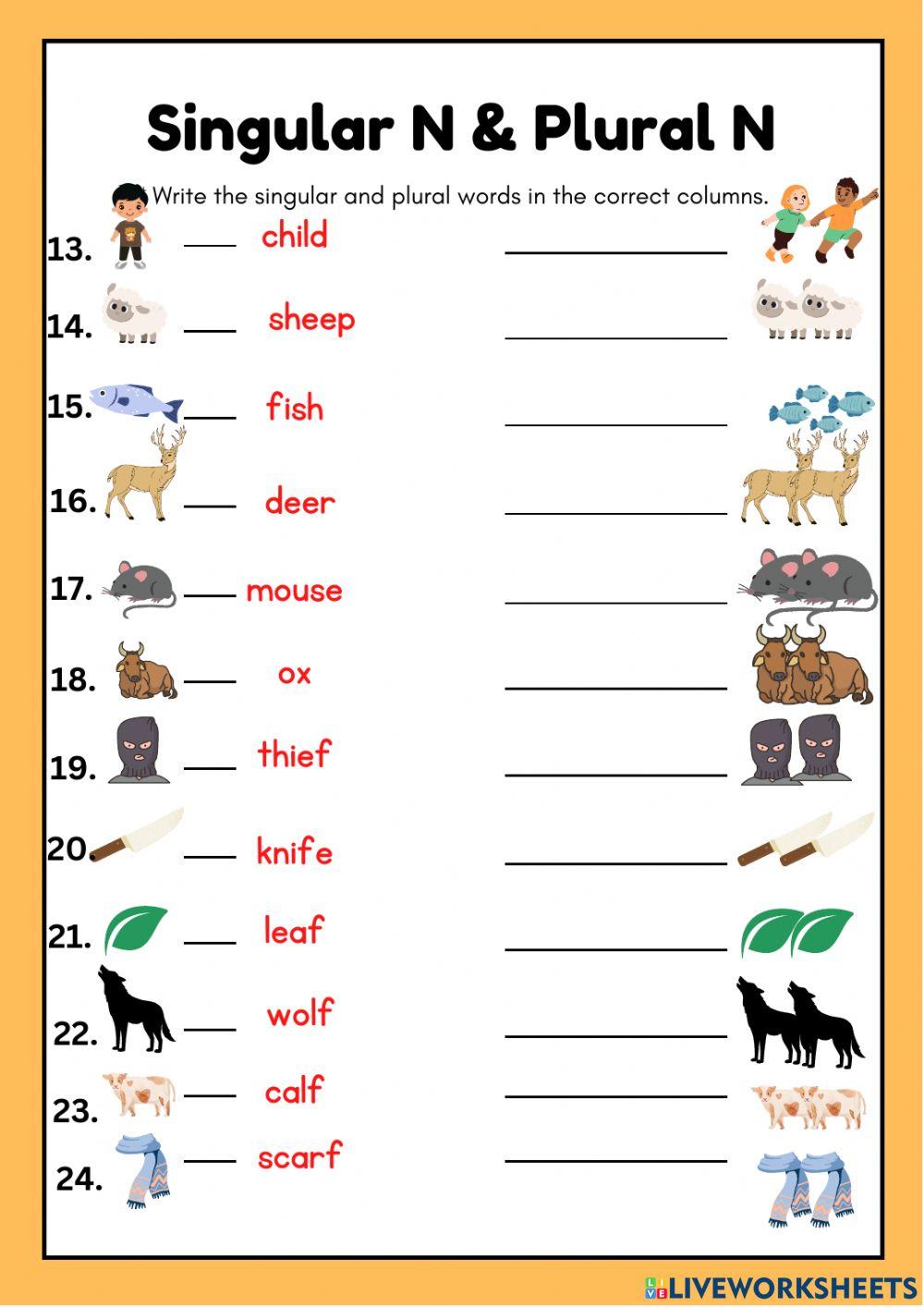 Singular & Plural Nouns