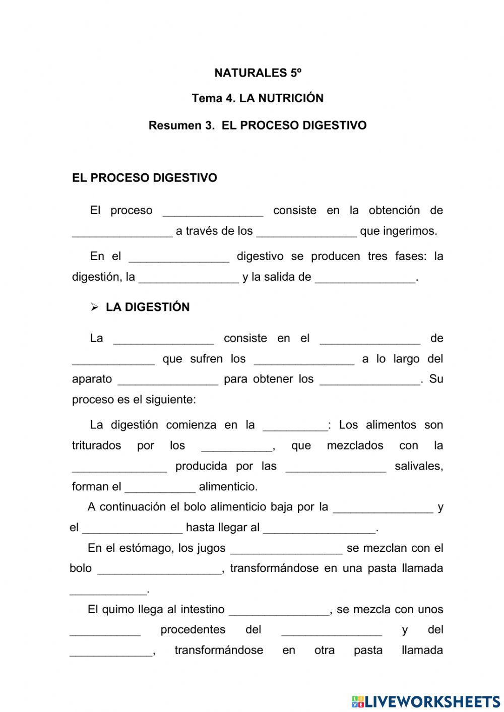 El proceso digestivo
