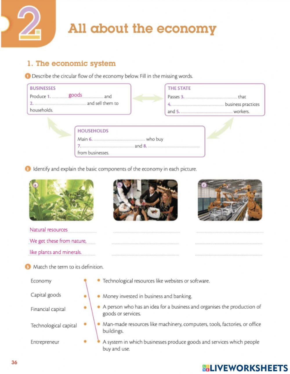 The economic system