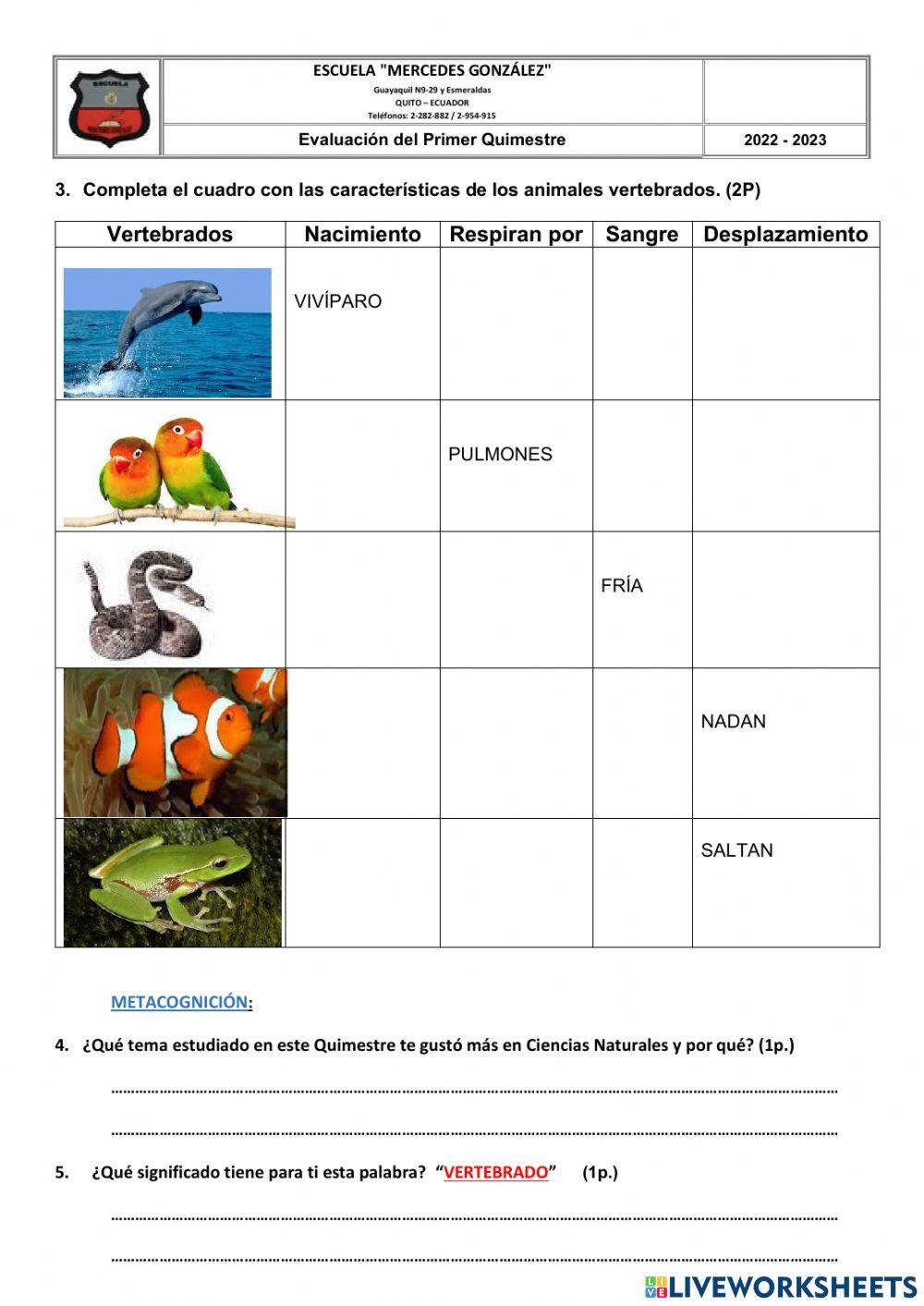 Evaluaciòn 1 Quimestre-CC.NN
