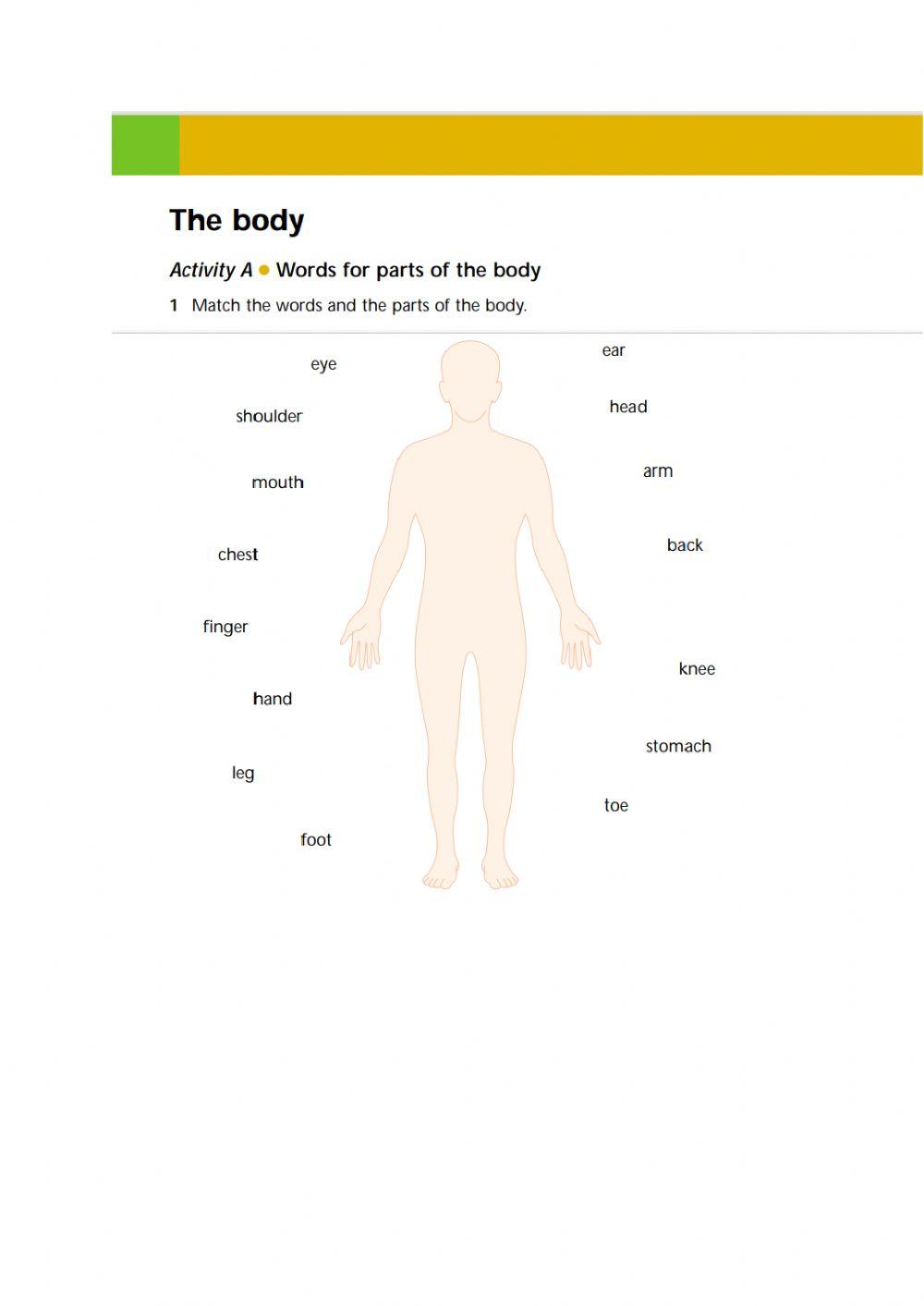 The body SfL unit 5