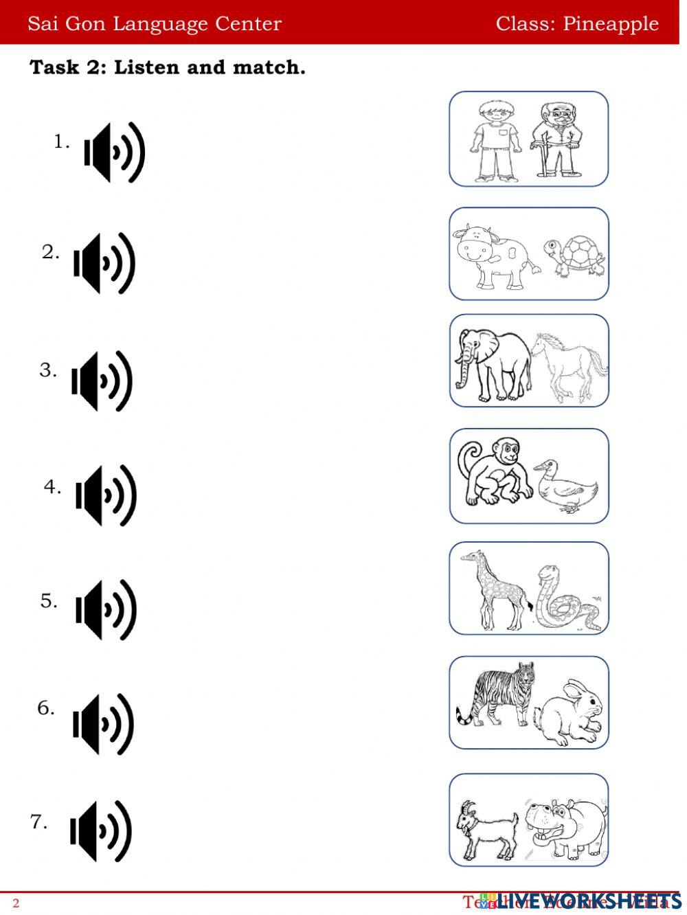 Look at the animals!