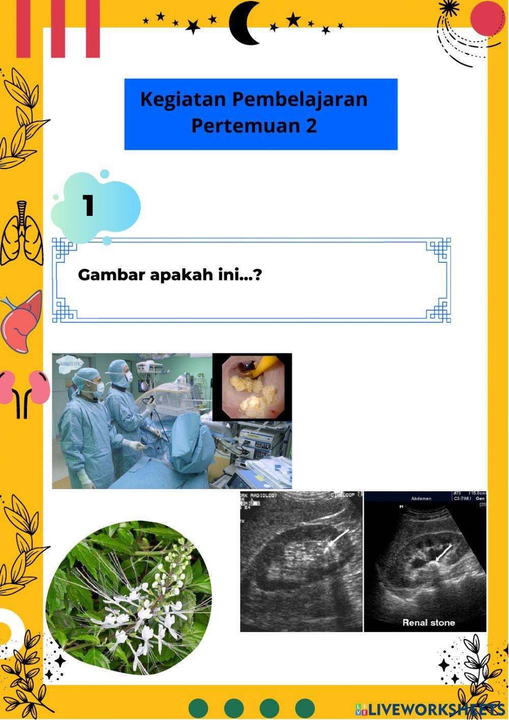 Cerita Bersambung IPA Digital