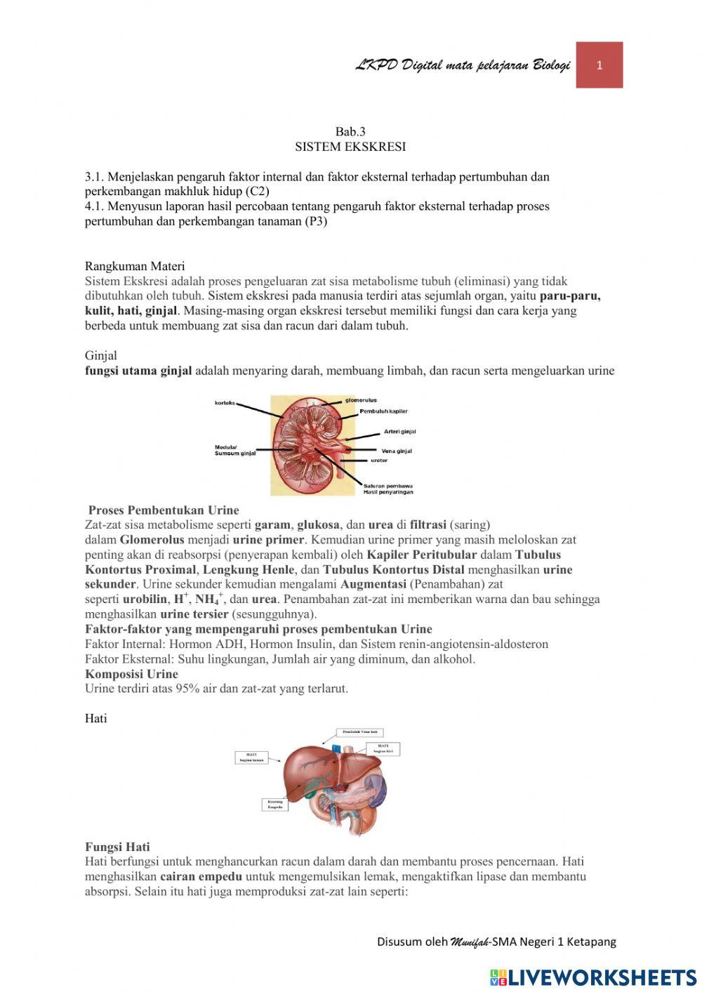 LKPD Digital Biologi