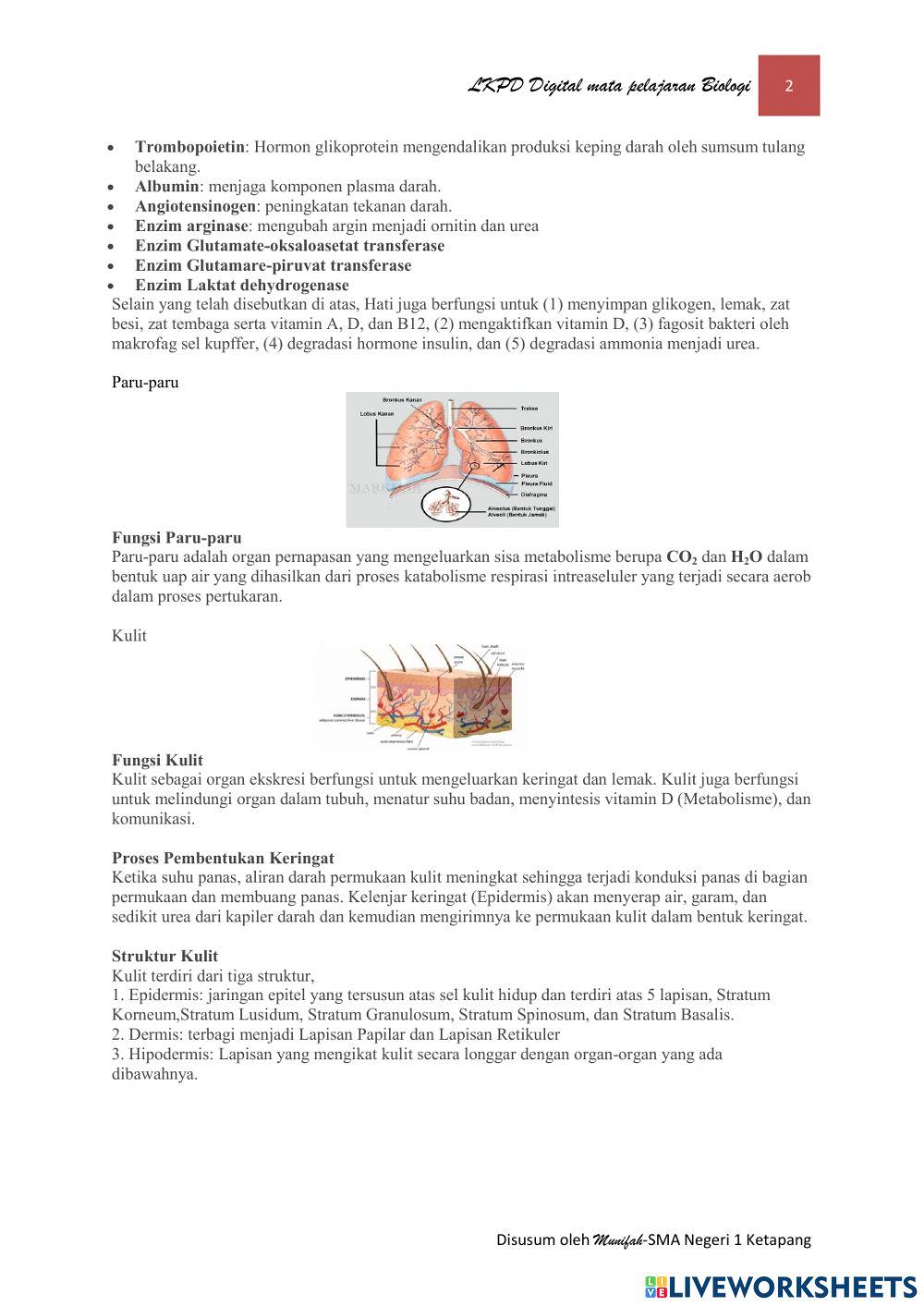 LKPD Digital Biologi