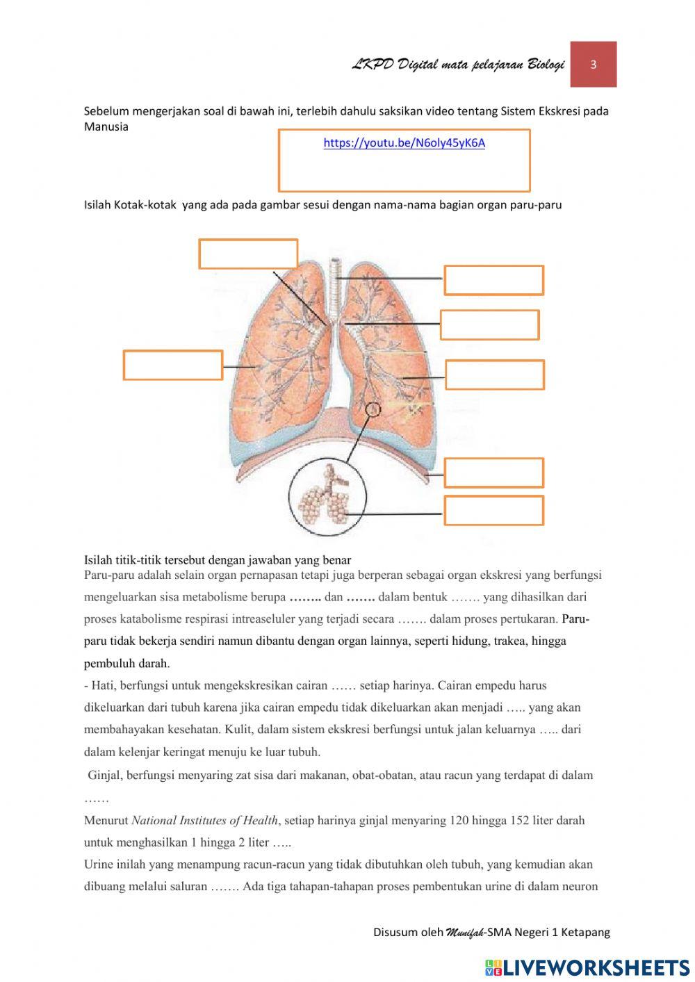 LKPD Digital Biologi