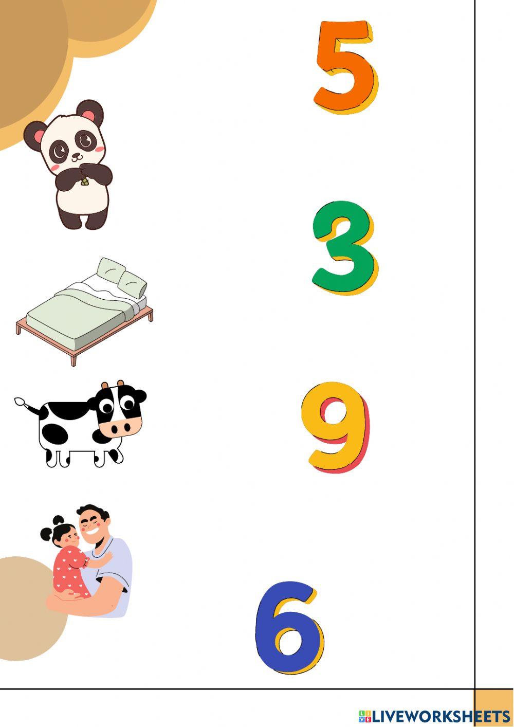 Preparation for test